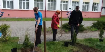 Благоустройство школьной территории