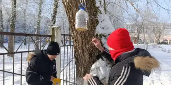 28.02.2026 "Зимующим птицам - нашу заботу"