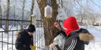 28.02.2026 "Зимующим птицам - нашу заботу"